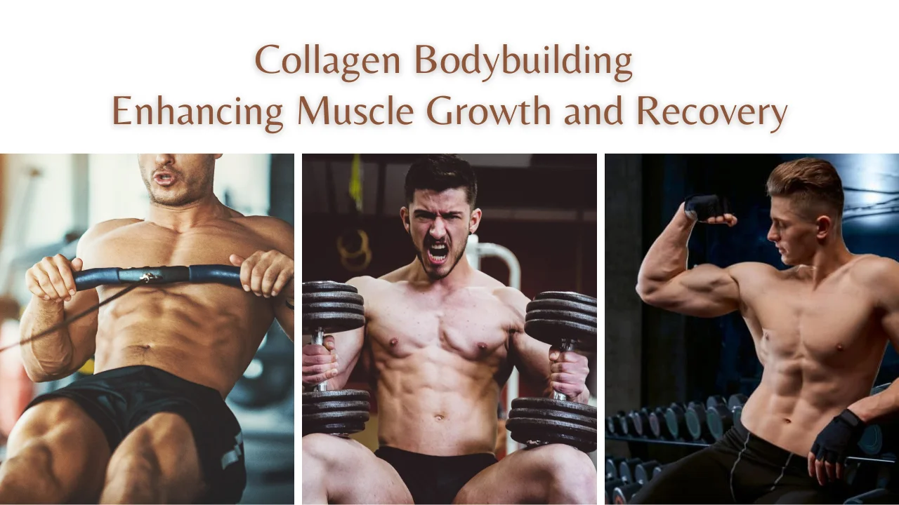 Collagen Bodybuilding: Enhancing Muscle Growth and Recovery