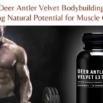 Deer Antler Velvet Bodybuilding: Unlocking Natural Potential for Muscle Growth